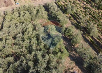 Posizione della mappa - Terreno agricolo Via Cerretana
 
164, Vinci - foto 14