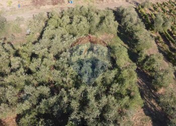 Posizione della mappa - Terreno agricolo Via Cerretana
 
164, Vinci - foto 15