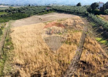 Vista delle montagne - Terreno agricolo Via Cerretana
 
164, Vinci - foto 21