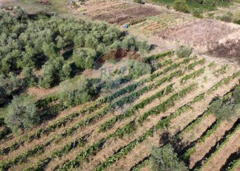 Posizione della mappa - Terreno agricolo Via Cerretana
 
164, Vinci - foto 23