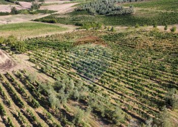 Vista delle montagne - Terreno agricolo Via Cerretana
 
164, Vinci - foto 25