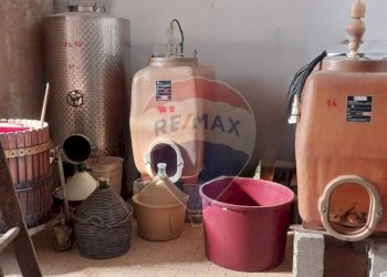 Dettagli - Terreno agricolo Via Cerretana
 
164, Vinci - foto 29