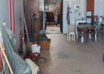 Dispensa di stoccaggio - Terreno agricolo Via Cerretana
 
164, Vinci - foto 32