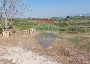 Giardino - Terreno agricolo Via Cerretana
 
164, Vinci - foto 38