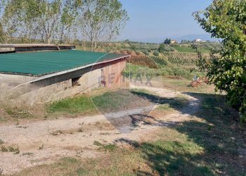 Piscina - Terreno agricolo Via Cerretana
 
164, Vinci - foto 39