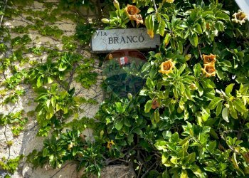 Giardino - Terreno agricolo via Branco, Taormina - foto 2