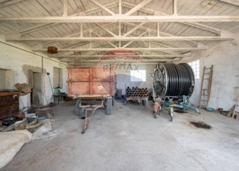 Parcheggio - Azienda agricola VIA PO MORTO
 
36, Torricella del Pizzo - foto 47