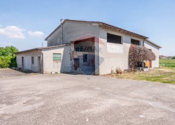 Casa all\'aperto - Azienda agricola VIA PO MORTO
 
36, Torricella del Pizzo - foto 52