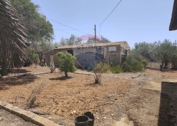 Giardino - Villa contrada Pezza di rizzo
 
s.n.c., Acate - foto 9