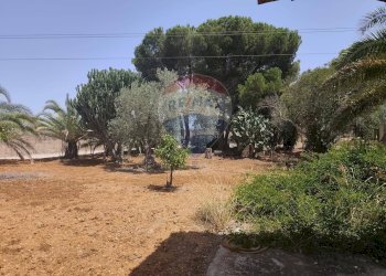 Giardino - Villa contrada Pezza di rizzo
 
s.n.c., Acate - foto 11