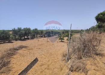 Vista delle montagne - Villa contrada Pezza di rizzo
 
s.n.c., Acate - foto 13