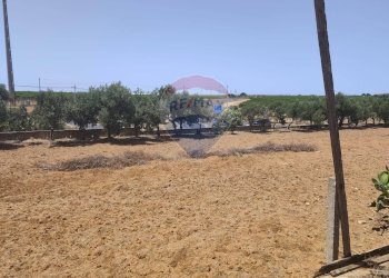 Giardino - Villa contrada Pezza di rizzo
 
s.n.c., Acate - foto 22