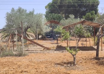 Giardino - Villa contrada Pezza di rizzo
 
s.n.c., Acate - foto 24