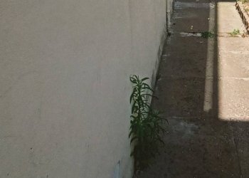 Foto 11 - Appartamento via piero e casato, Ponsacco - foto 11