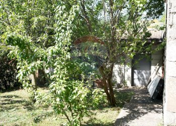 Giardino - Casa indipendente Valle Cupa
 
63, Frosolone - foto 6