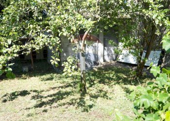 Giardino - Casa indipendente Valle Cupa
 
63, Frosolone - foto 8