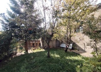 Giardino - Casa indipendente Valle Cupa
 
63, Frosolone - foto 28