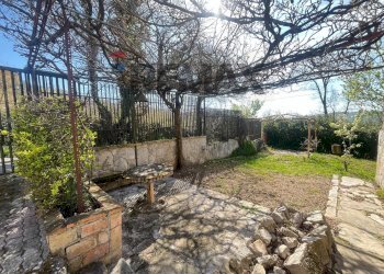 Giardino - Casa indipendente Valle Cupa
 
63, Frosolone - foto 33