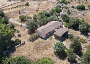 Foto 20 - Locale Commerciale SP 28 km 15
 
snc, Romana - foto 20