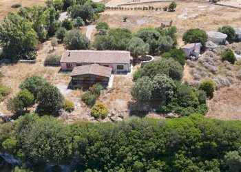 Foto 21 - Locale Commerciale SP 28 km 15
 
snc, Romana - foto 21