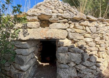 Foto 37 - Locale Commerciale SP 28 km 15
 
snc, Romana - foto 37