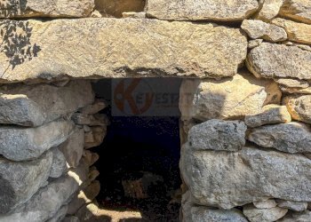 Foto 38 - Locale Commerciale SP 28 km 15
 
snc, Romana - foto 38