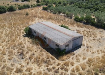 Foto 39 - Locale Commerciale SP 28 km 15
 
snc, Romana - foto 39