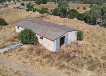 Foto 43 - Locale Commerciale SP 28 km 15
 
snc, Romana - foto 43