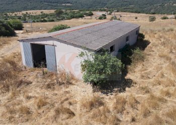 Foto 45 - Locale Commerciale SP 28 km 15
 
snc, Romana - foto 45