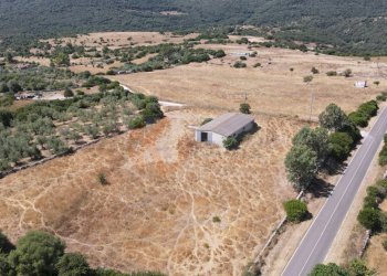 Foto 46 - Locale Commerciale SP 28 km 15
 
snc, Romana - foto 46