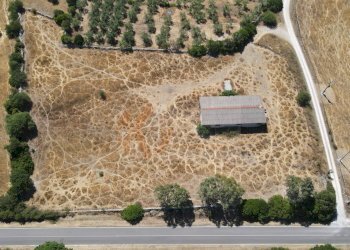 Foto 47 - Locale Commerciale SP 28 km 15
 
snc, Romana - foto 47