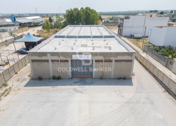 Foto 1 - Negozio via catullo, Andria - foto 1