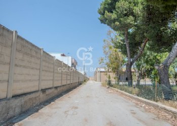 Foto 12 - Negozio via catullo, Andria - foto 12