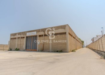 Foto 18 - Negozio via catullo, Andria - foto 18