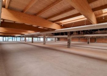 Capannone Modena - foto 3