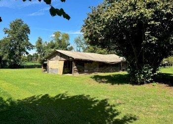 Casale Via Caduti per la Libertà, Castenaso - foto 5