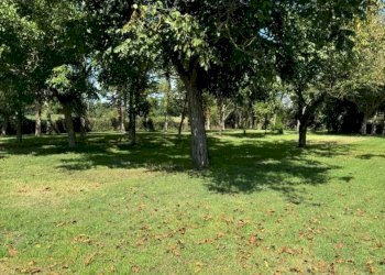 Casale Via Caduti per la Libertà, Castenaso - foto 10