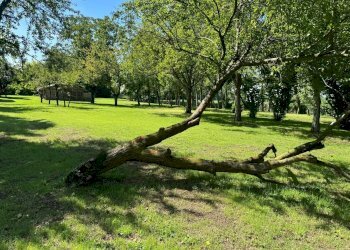 Casale Via Caduti per la Libertà, Castenaso - foto 14