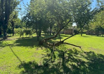 Casale Via Caduti per la Libertà, Castenaso - foto 15