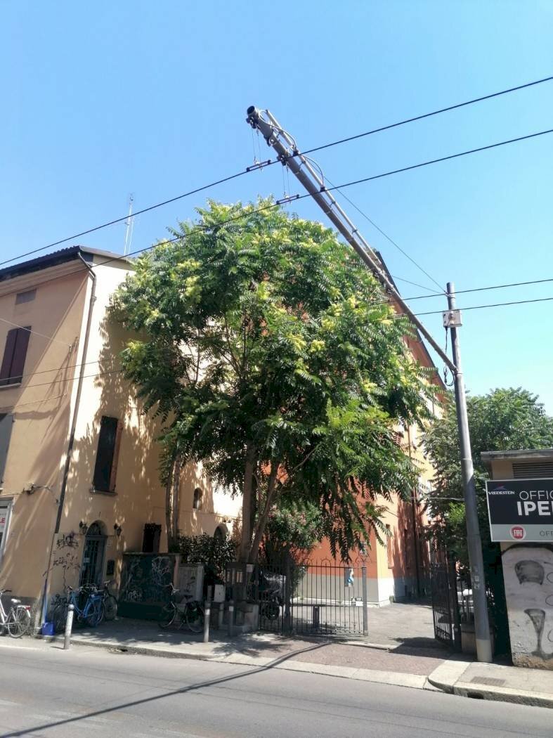 Two-room apartment Via Giuseppe Mazzini, 24, Bologna (neighborhood Santo Stefano) - photo 1