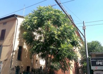 Two-room apartment Via Giuseppe Mazzini, 24, Bologna (neighborhood Santo Stefano) - photo 1