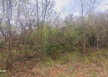 Magazzino Strada Provinciale di Fibbianello, Semproniano - foto 2