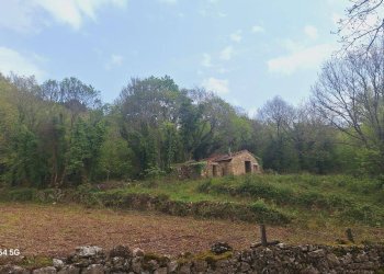 Magazzino Strada Provinciale di Fibbianello, Semproniano - foto 5