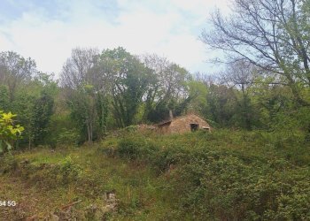 Magazzino Strada Provinciale di Fibbianello, Semproniano - foto 10