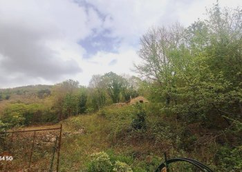 Magazzino Strada Provinciale di Fibbianello, Semproniano - foto 11