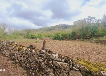 Magazzino Strada Provinciale di Fibbianello, Semproniano - foto 15