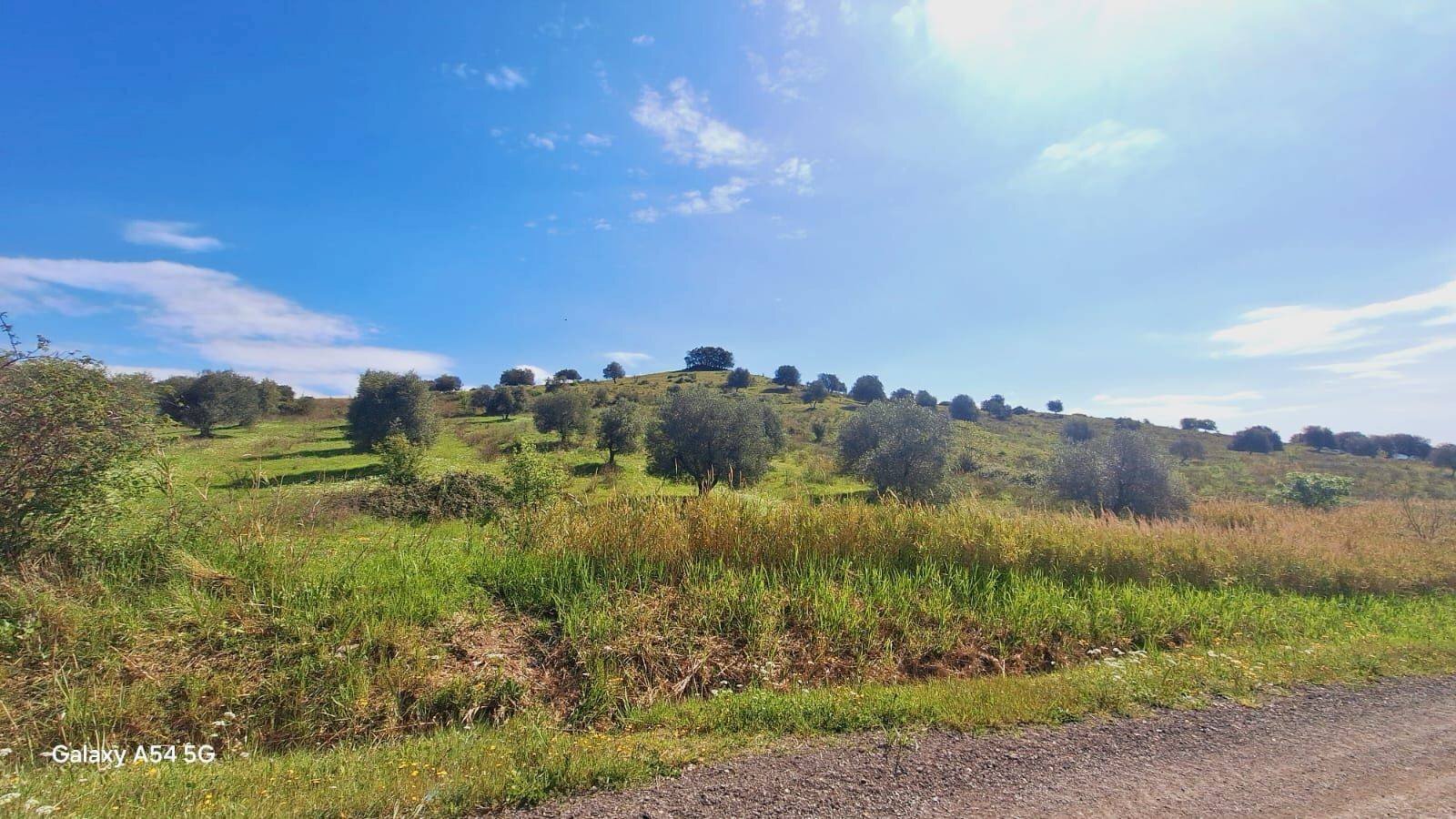 Terreno agricolo Podere Ai della Colonna, Roccalbegna - foto 1