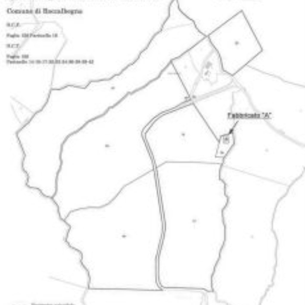 Terreno agricolo Podere Ai della Colonna, Roccalbegna - planimetria 1