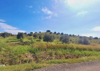 Terreno agricolo Podere Ai della Colonna, Roccalbegna - foto 1