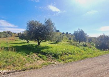 Terreno agricolo Podere Ai della Colonna, Roccalbegna - foto 4